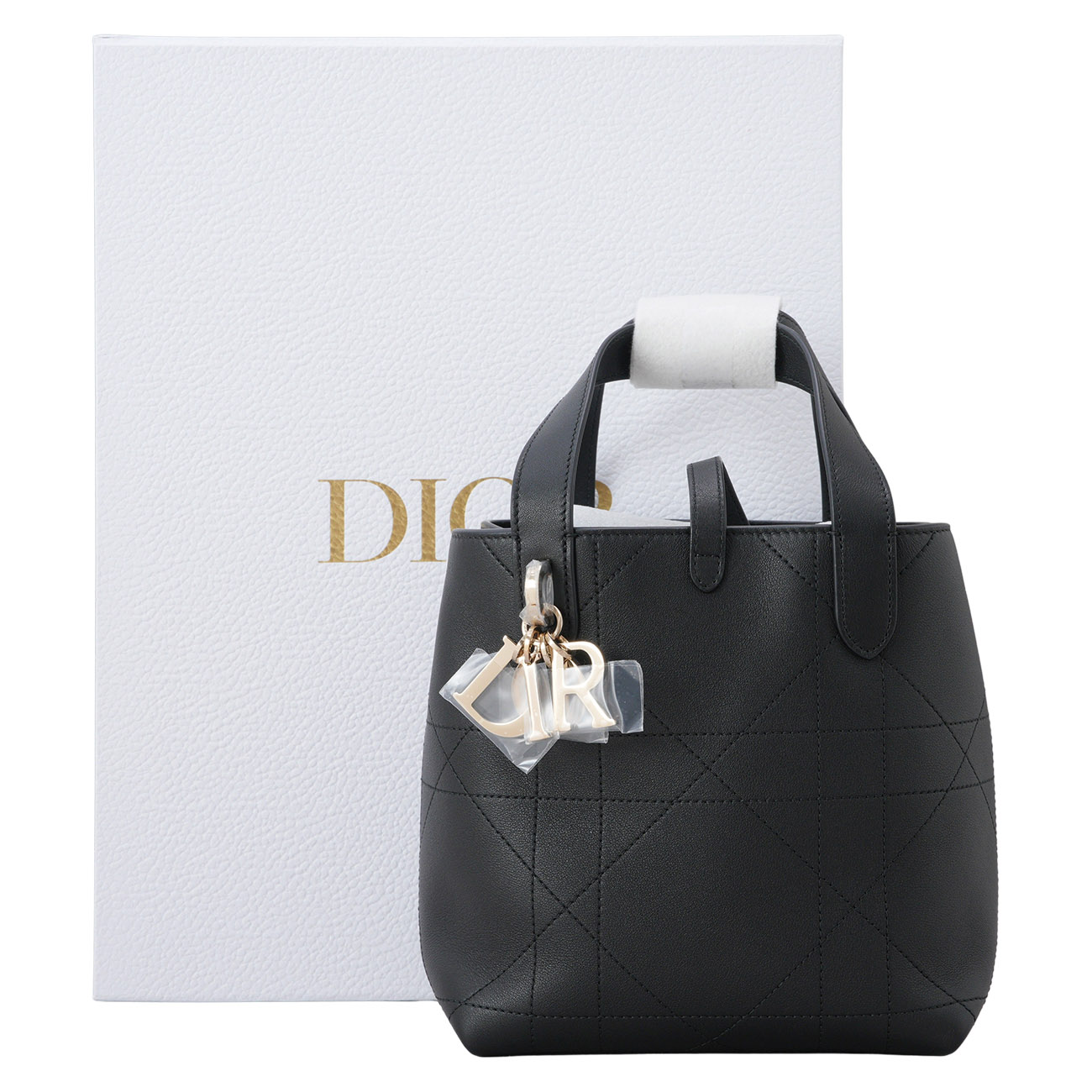 CHRISTIAN DIOR(NEW)디올 뚜쥬흐 버티컬 플랫 토트백 스몰 (새상품) NEW PRODUCT